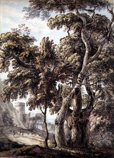 Study of Trees (penna & bläck och akvarell på papper) av Thomas Sandby
