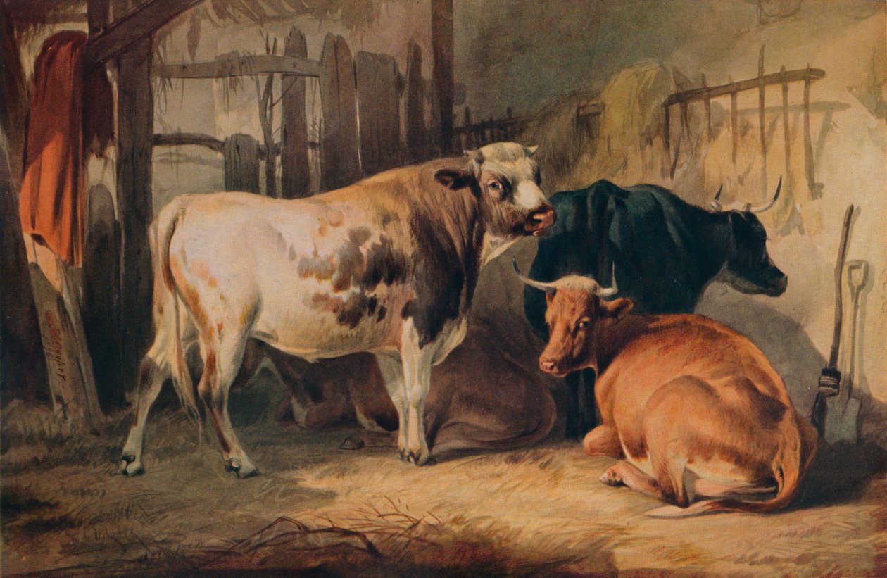 En tjur och tre kor i ett stall, c1856 av Thomas Sidney Cooper