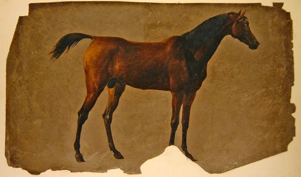 En arabisk häst (olja på papper) av Thomas Sidney Cooper