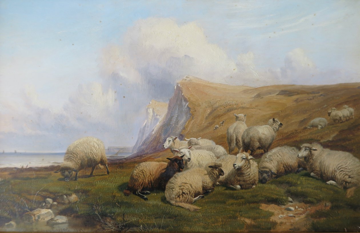 Shakespeare Cliff, Kent: Får på kustnära betesmark av Thomas Sidney Cooper