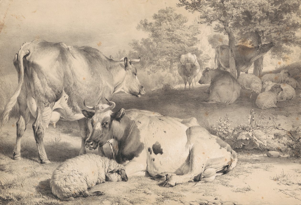 Får och boskap av Thomas Sidney Cooper