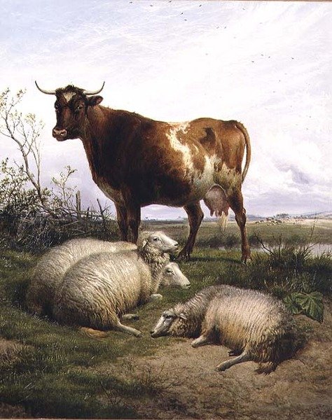 Får och en ko som betar av Thomas Sidney Cooper