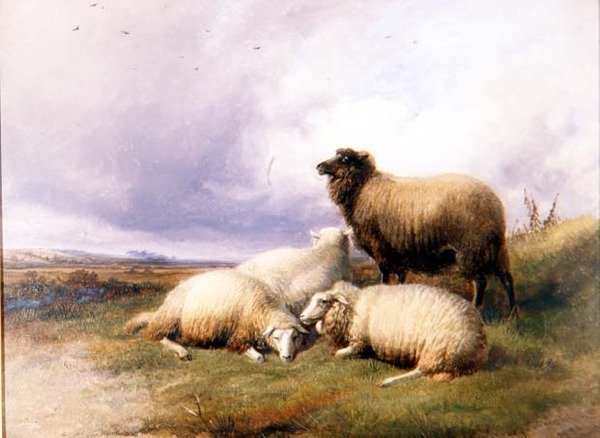 Får i ett landskap av Thomas Sidney Cooper
