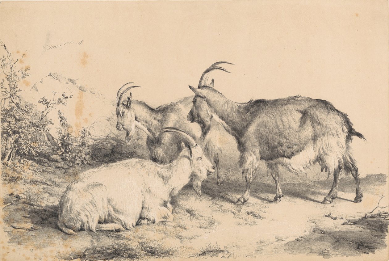 Tre getter av Thomas Sidney Cooper
