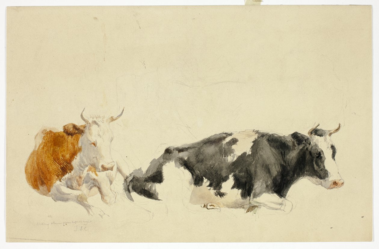 Två liggande kor (recto); Skiss av stående ko (verso) av Thomas Sidney Cooper