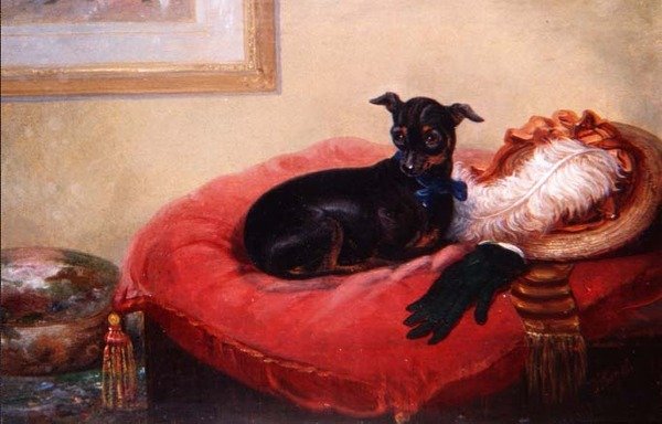 Hennes favorithusdjur: en Manchesterterrier på en röd kudde av Thomas Smythe