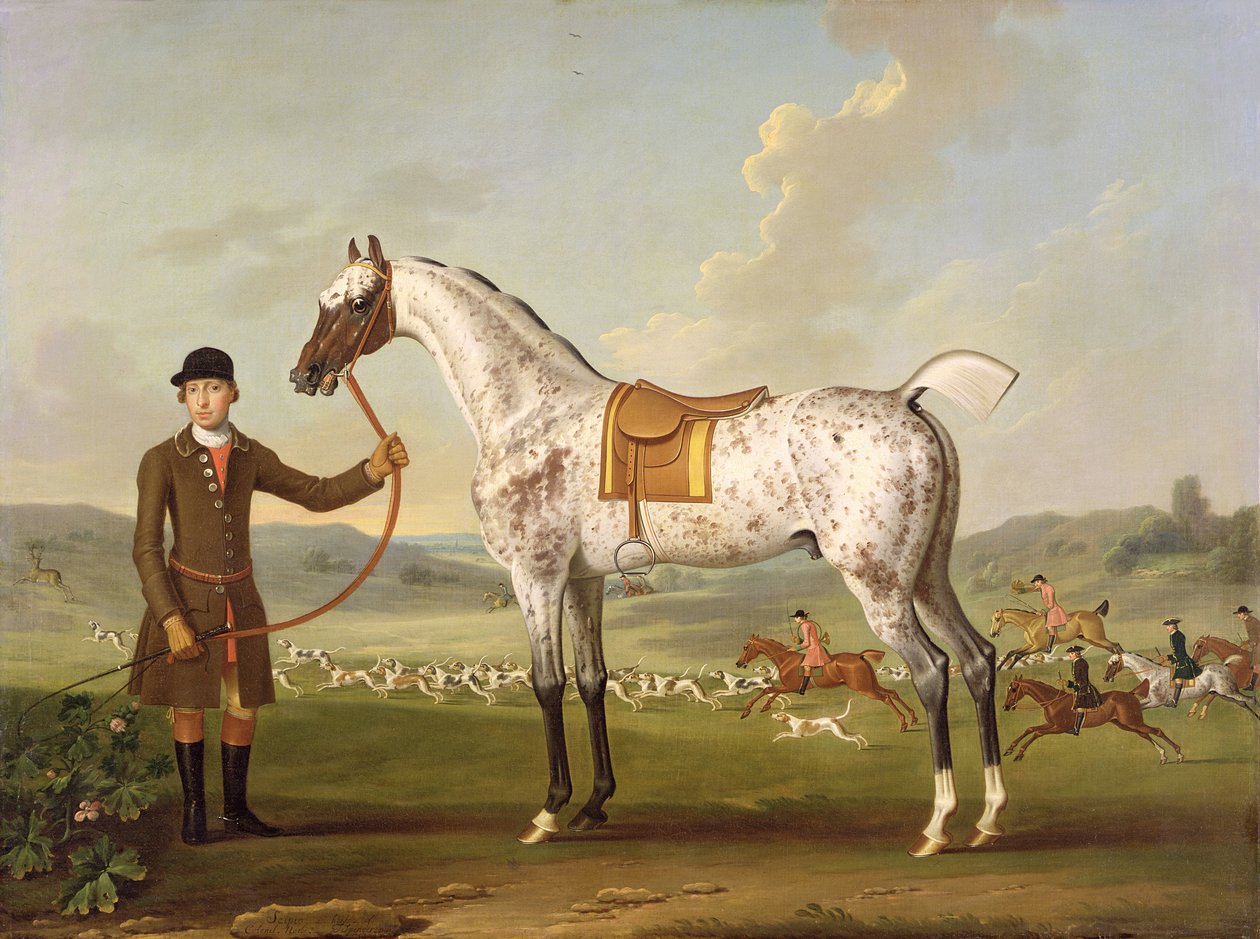 Scipio, överste Roches prickjägare, ca 1750 av Thomas Spencer