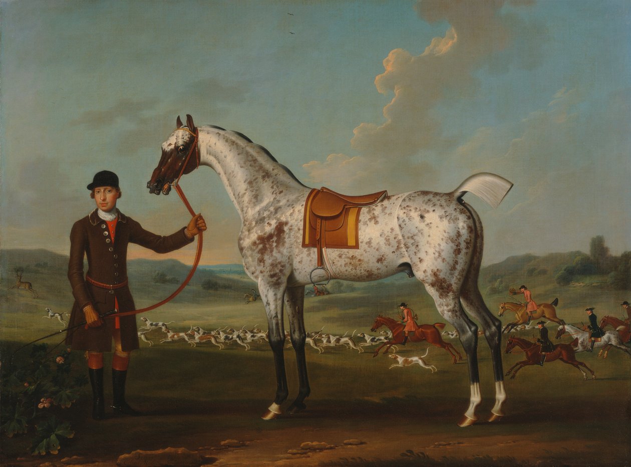 Scipio, en prickig jägare, överste Roches egendom av Thomas Spencer