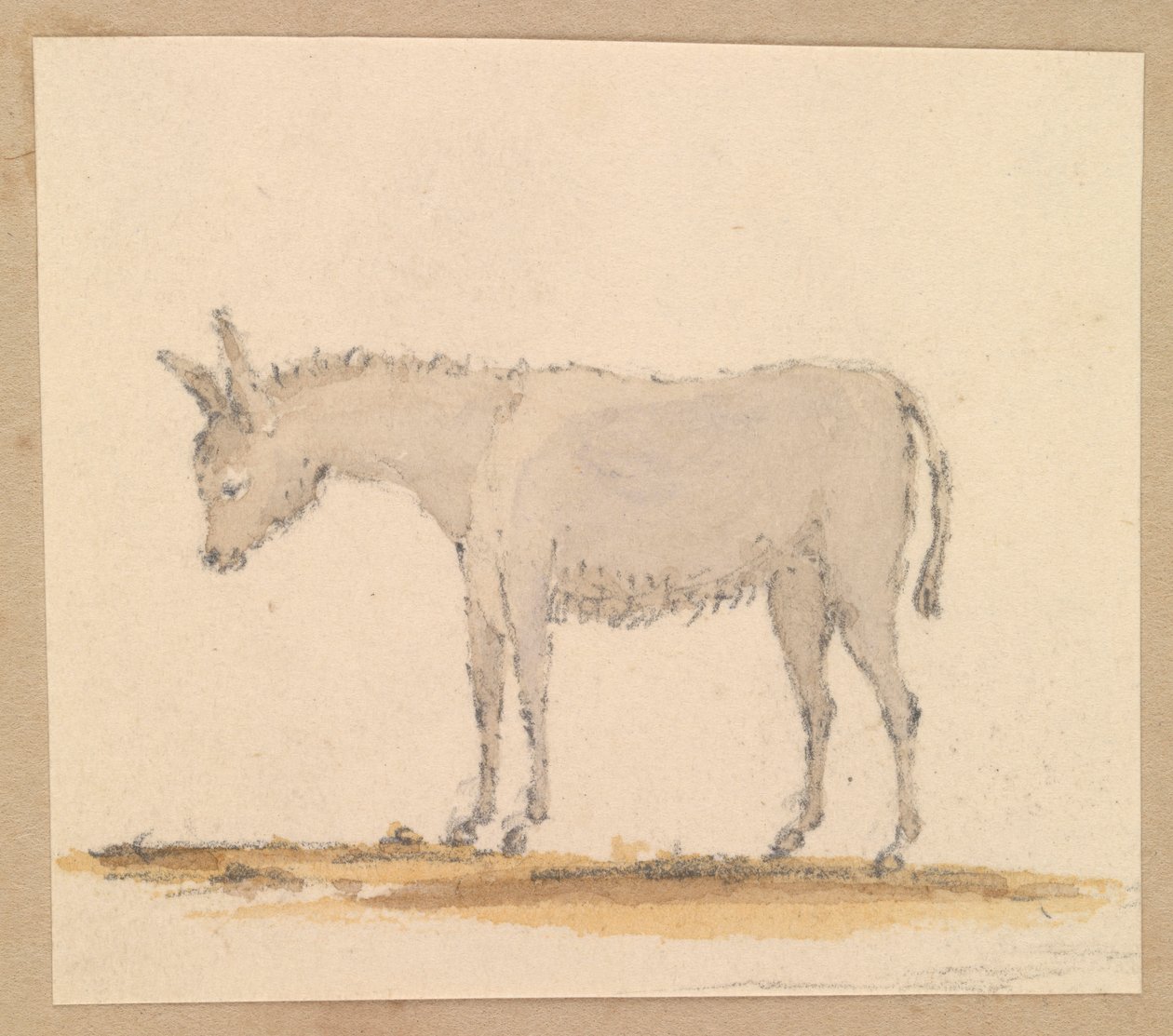 Studie av en åsna, ca 1820 (penna och bläck, lavering, akvarell) av Thomas Streatfeild