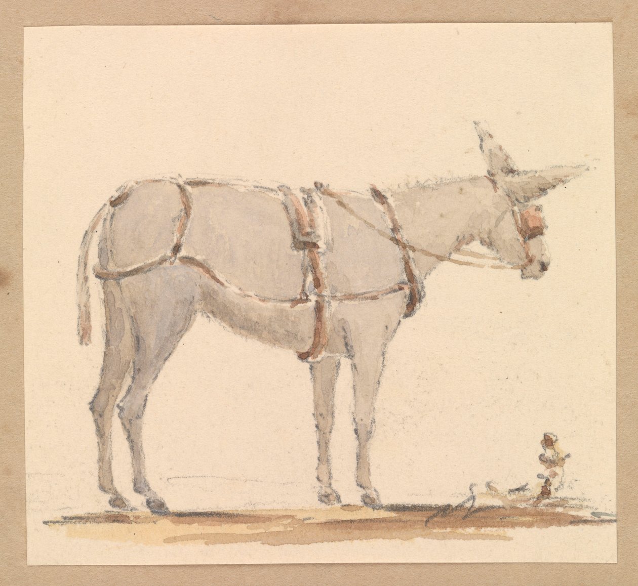 Studie av en åsna med träns och sele, ca 1820 (blyerts med brun och grå lav på papper) av Thomas Streatfeild