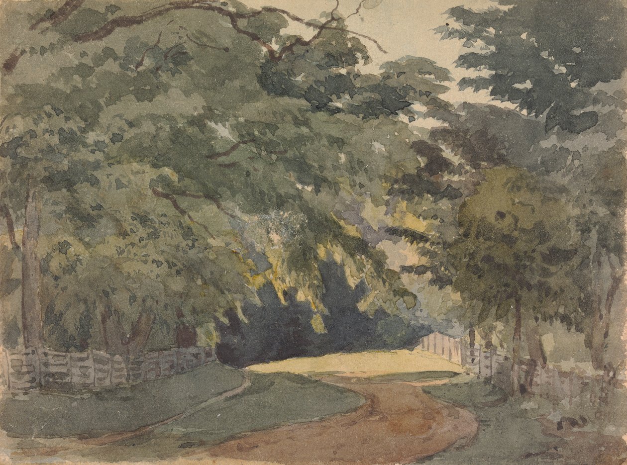 Trädkantad Lane av Thomas Sully