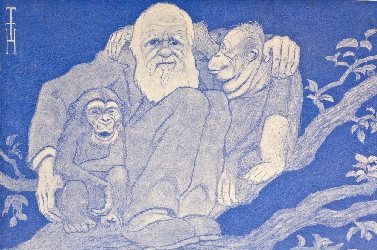 1909 tecknad Darwin med apa detalj av Thomas Theodor Heine