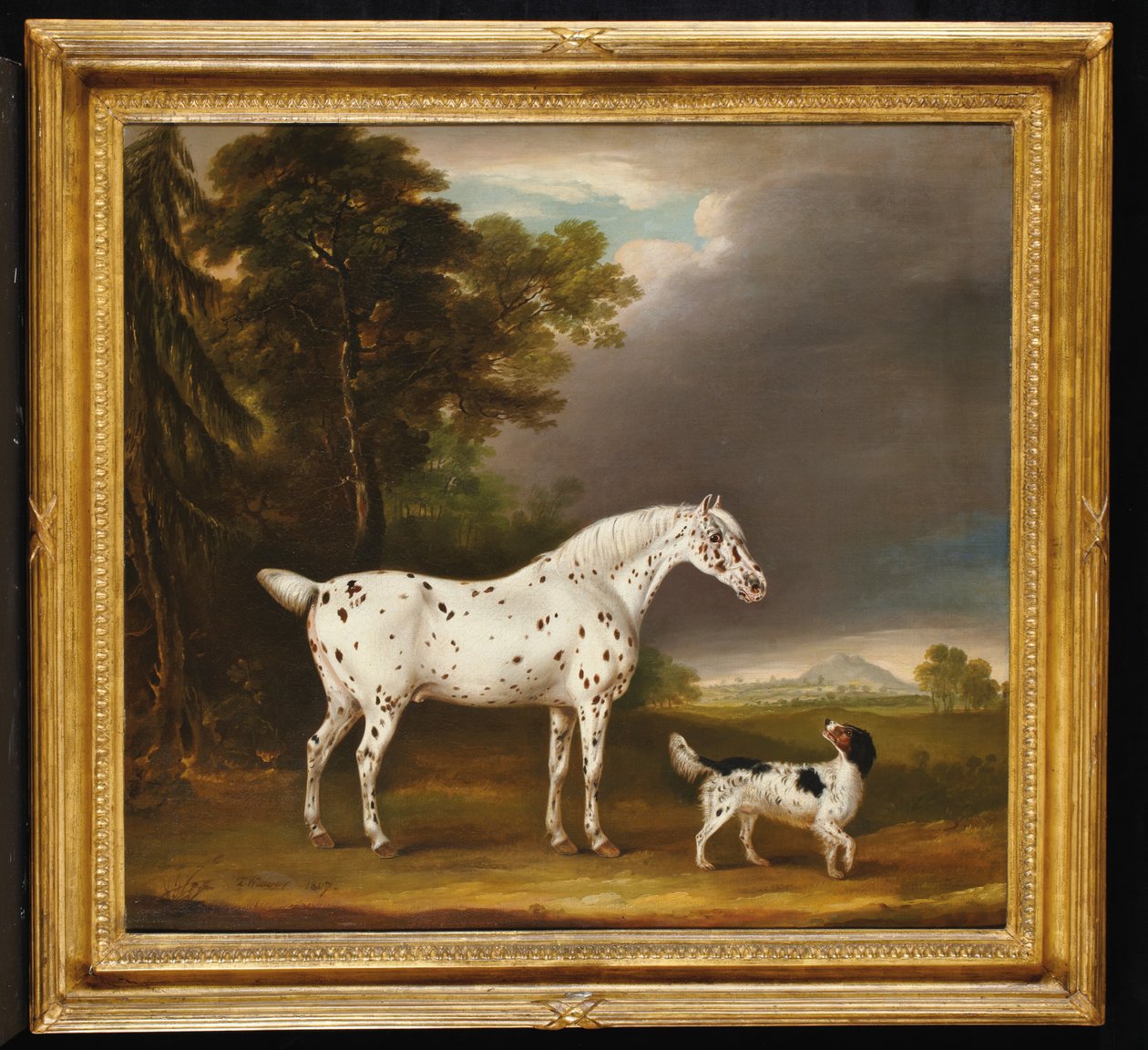 Appaloosa häst och spaniel, 1807 av Thomas Weaver