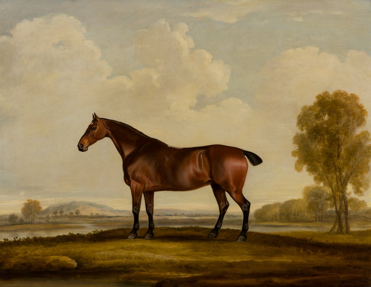 Georgiana: a Horse, ca 1819 (olja på duk) av Thomas Weaver