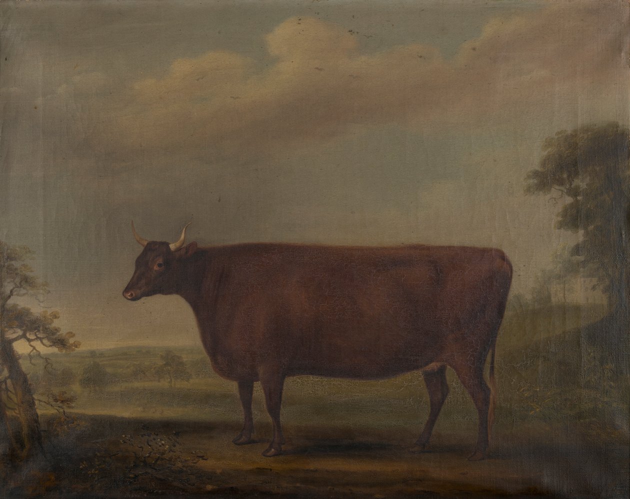 Röda Devon kvigor i landskap, ca 1812 (olja på duk) av Thomas Weaver