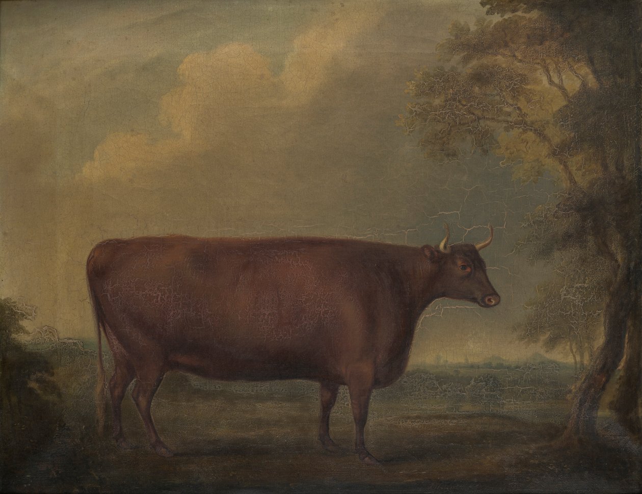 Röda Devon kvigor i landskap, ca 1812 (olja på duk) av Thomas Weaver