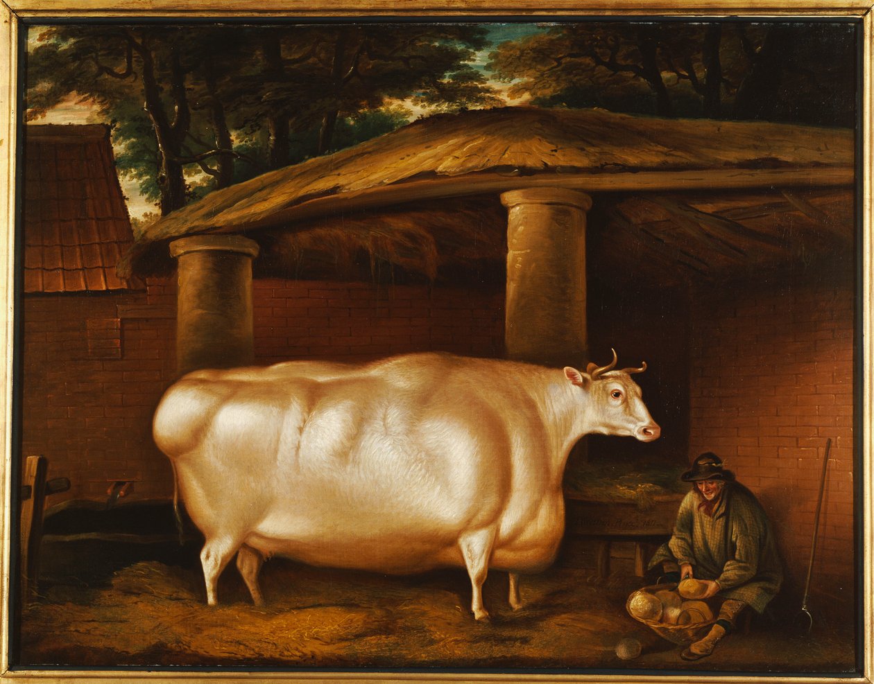 Den vita kvigan som reste, med en man som skär kålrot på en stallgård, 1811 av Thomas Weaver