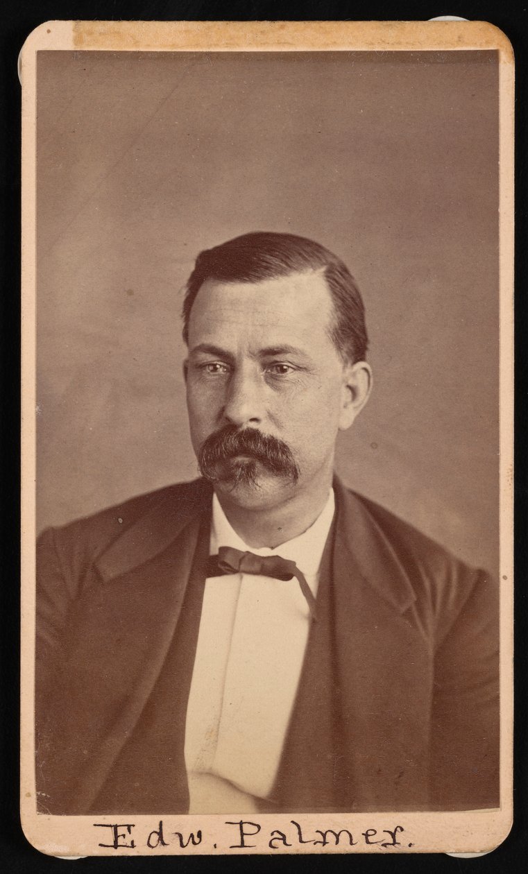 Porträtt av Edward Palmer 1829-1911, före 1900. av Thomas William Smillie
