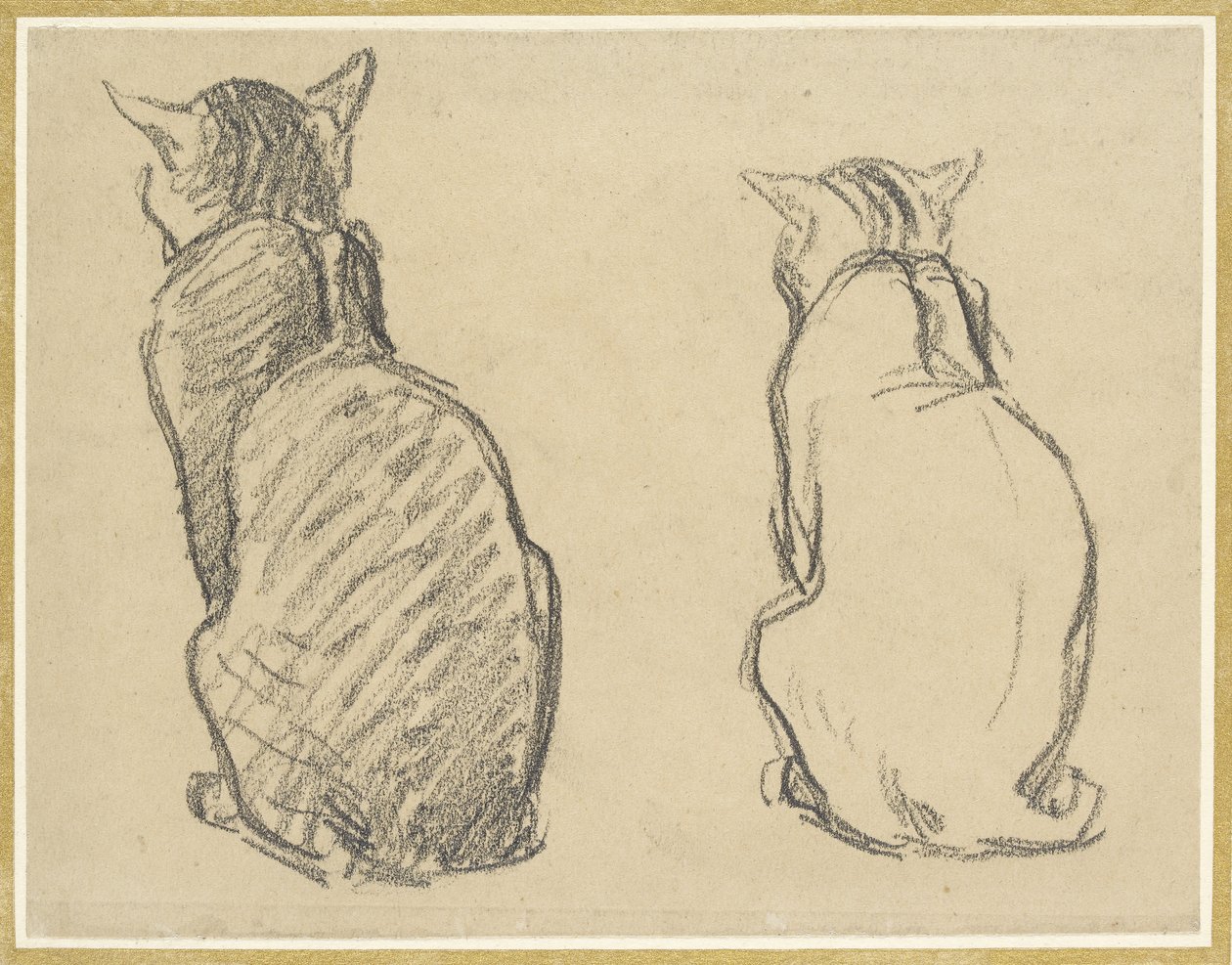 Två studier av en katt (grafit på missfärgat vävt papper) av Théophile Alexandre Steinlen