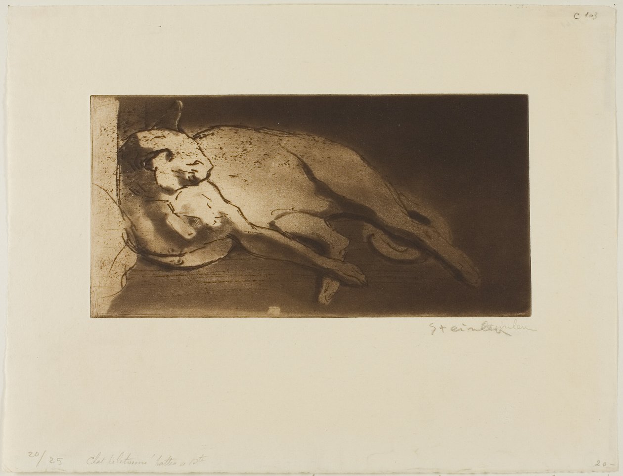 Liggande katt utsträckt från vänster till höger av Théophile Alexandre Pierre Steinlen