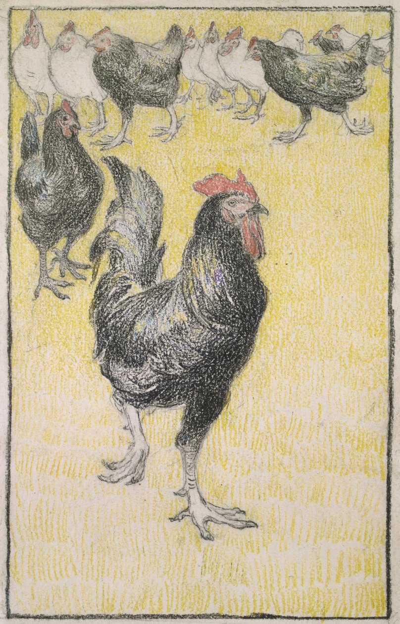 Tupp, följt av svartvita höns (grafit med svart och färgad krita på vitt papper, kantad med en linje i svart krita) av Théophile Alexandre Steinlen