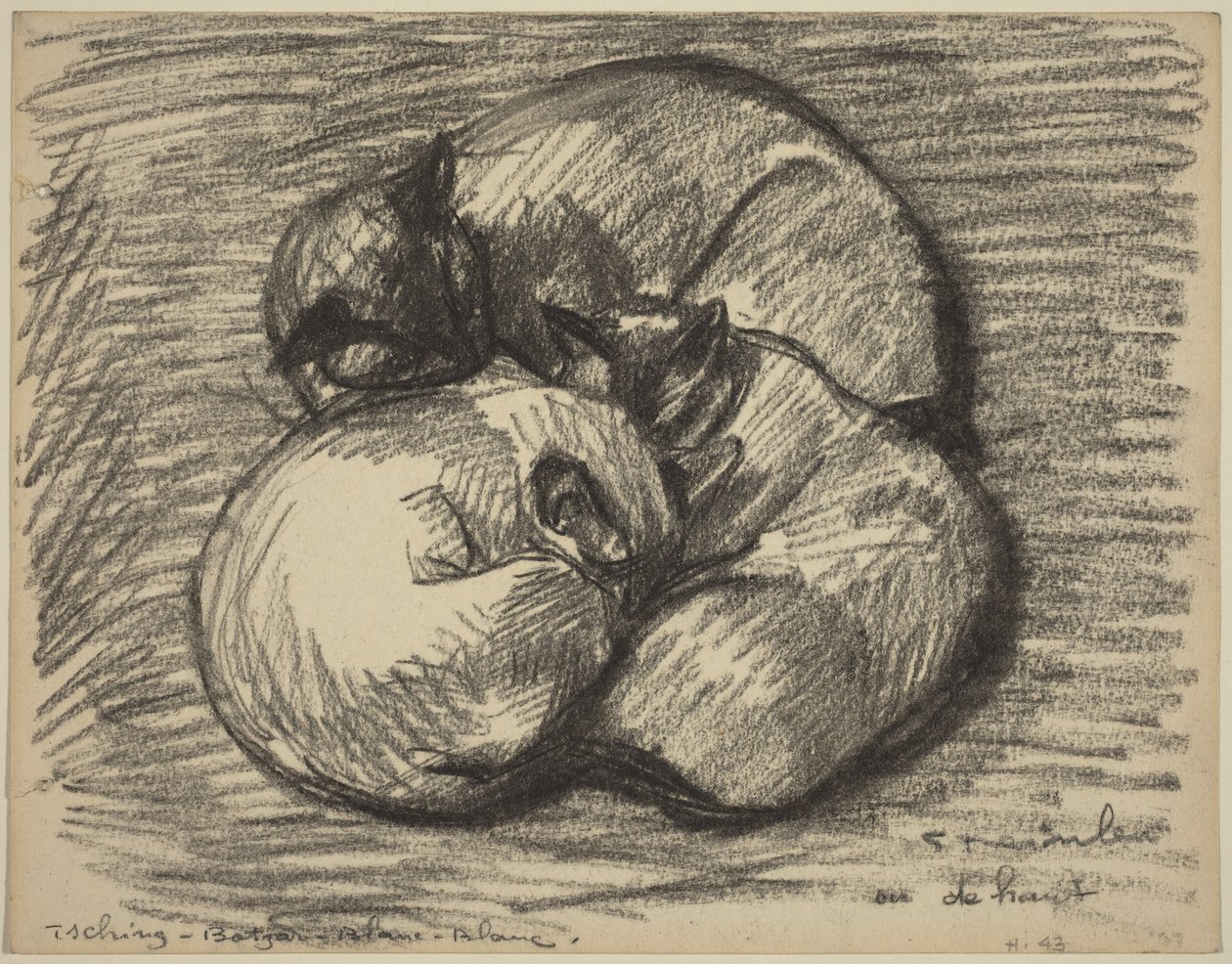 Katterna: Tsching, Batzar och Blanc-Blanc, sent 1800-tidigt 1900-tal. av Théophile Alexandre Steinlen