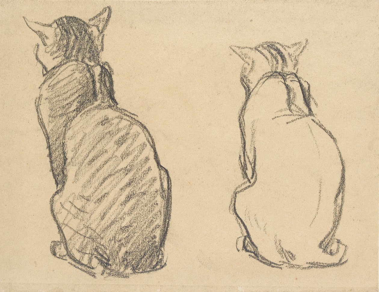 Två studier av en katt, tidigt 1900-tal av Théophile Alexandre Steinlen