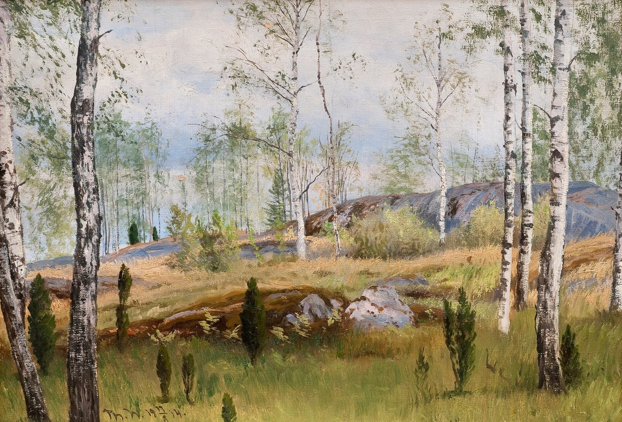 Birch trees av Thorsten Waenerberg