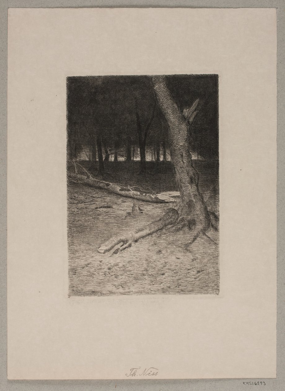 Skogsinteriör. Kväll av Thorvald Niss
