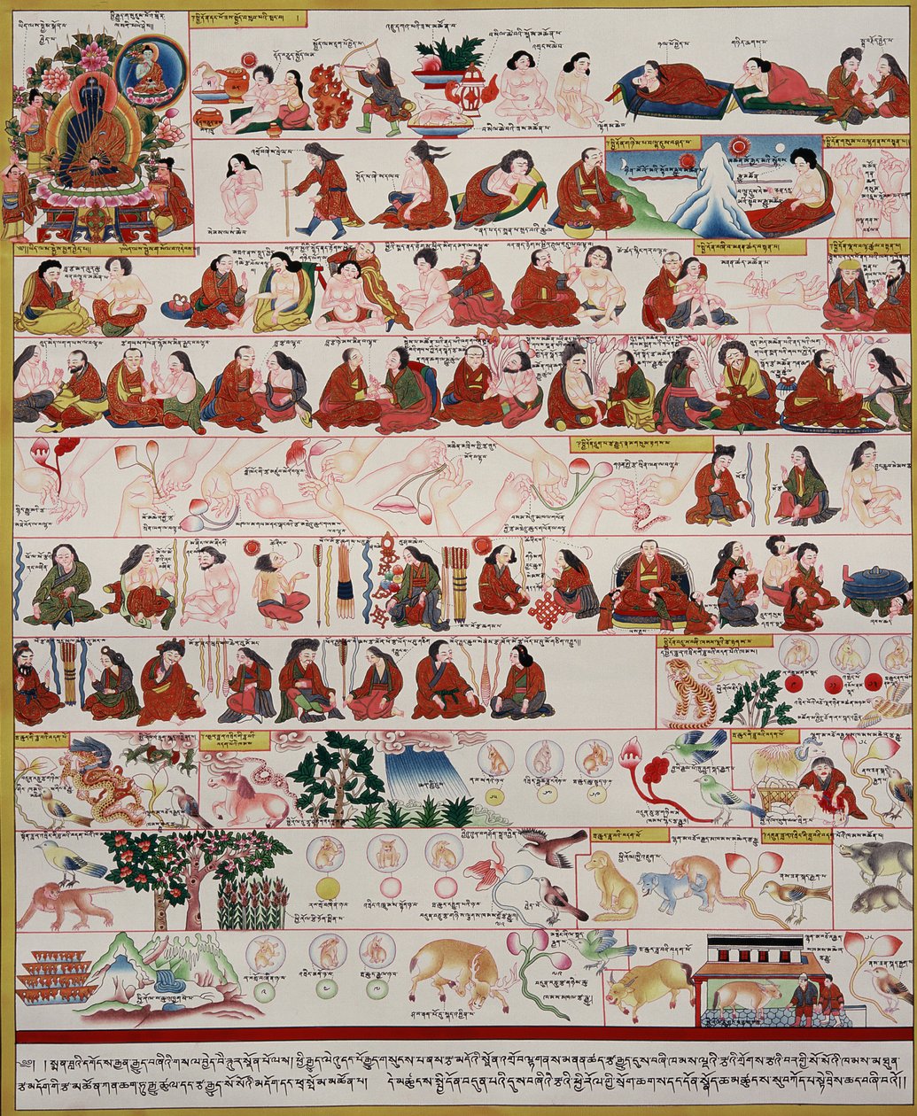 Manuskript om tibetansk medicin av Tibetan School