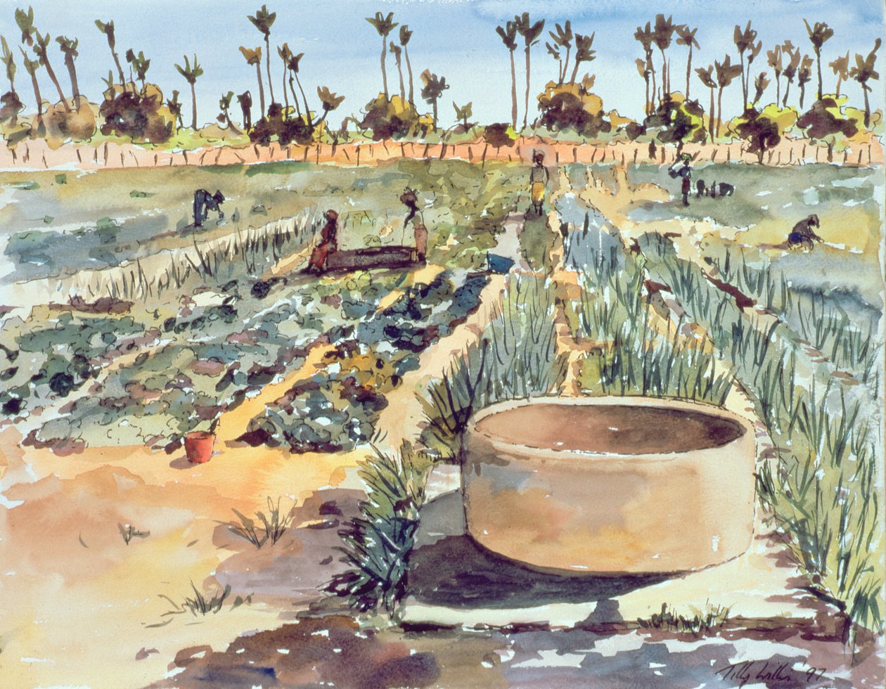 Kvinnornas trädgård, Senegal, Västafrika, 1997 av Tilly Willis