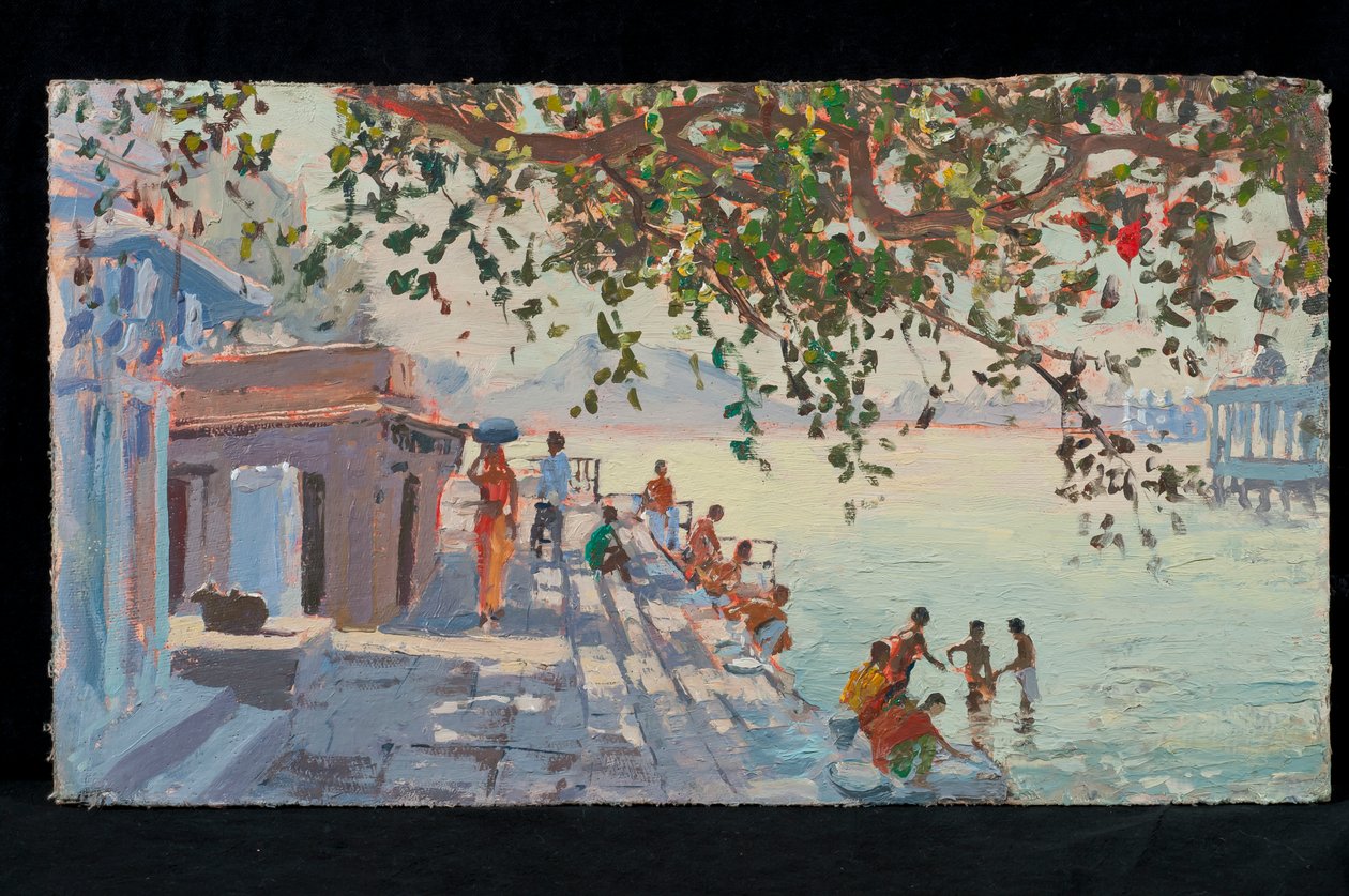 Badgäster, Udaipur av Tim Scott Bolton