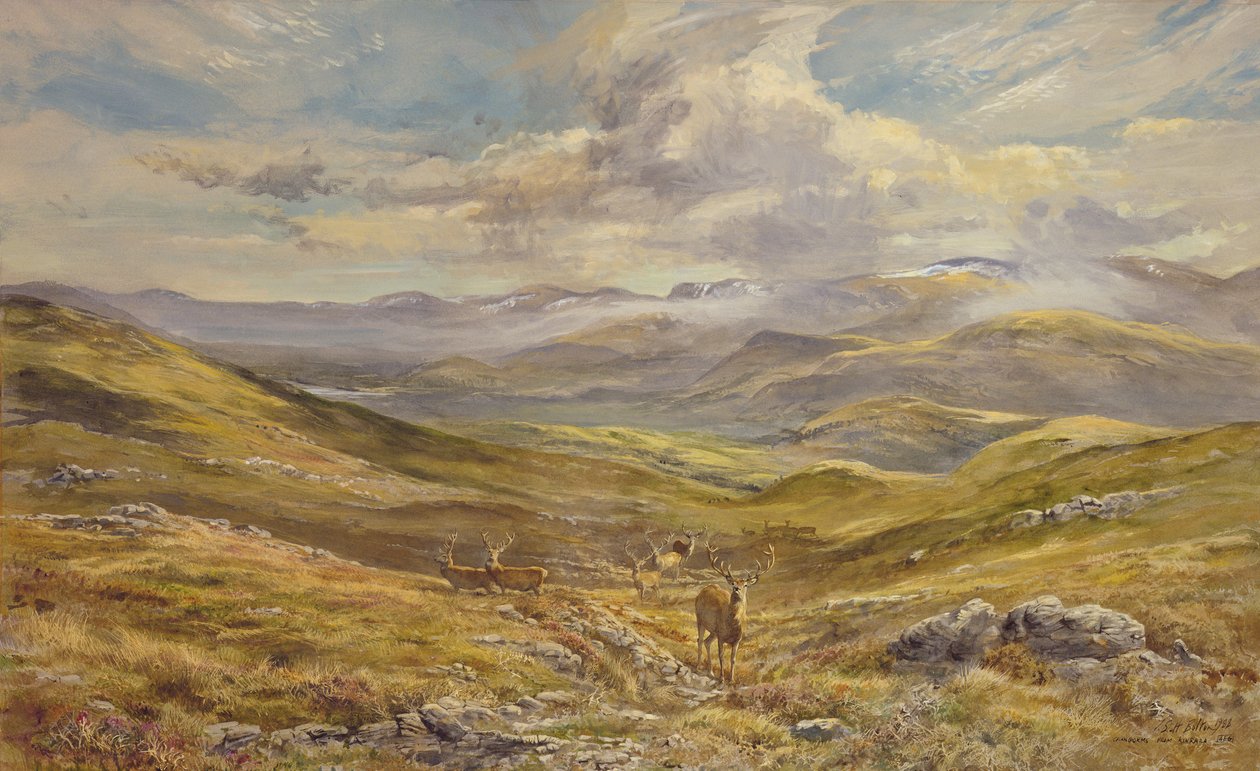 Cairngorms från Kinrara, 1988 (wc) av Tim Scott Bolton