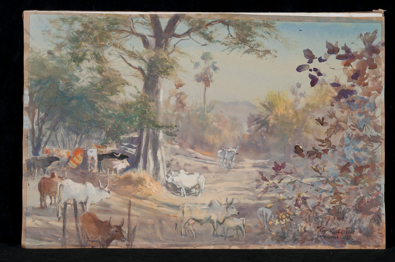 Boskap, Jambughoda, 2009 av Tim Scott Bolton