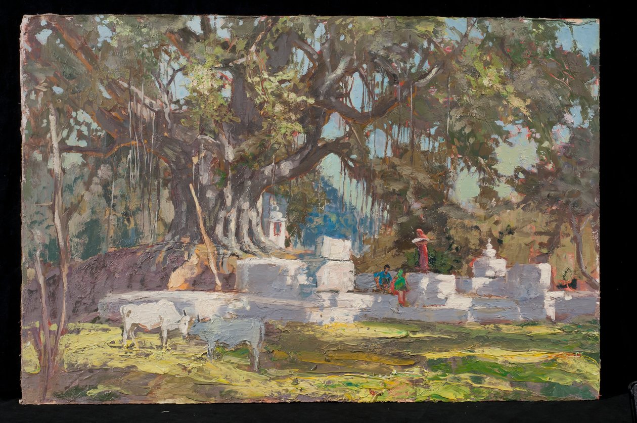 Kawardha Well och Banyan Tree av Tim Scott Bolton