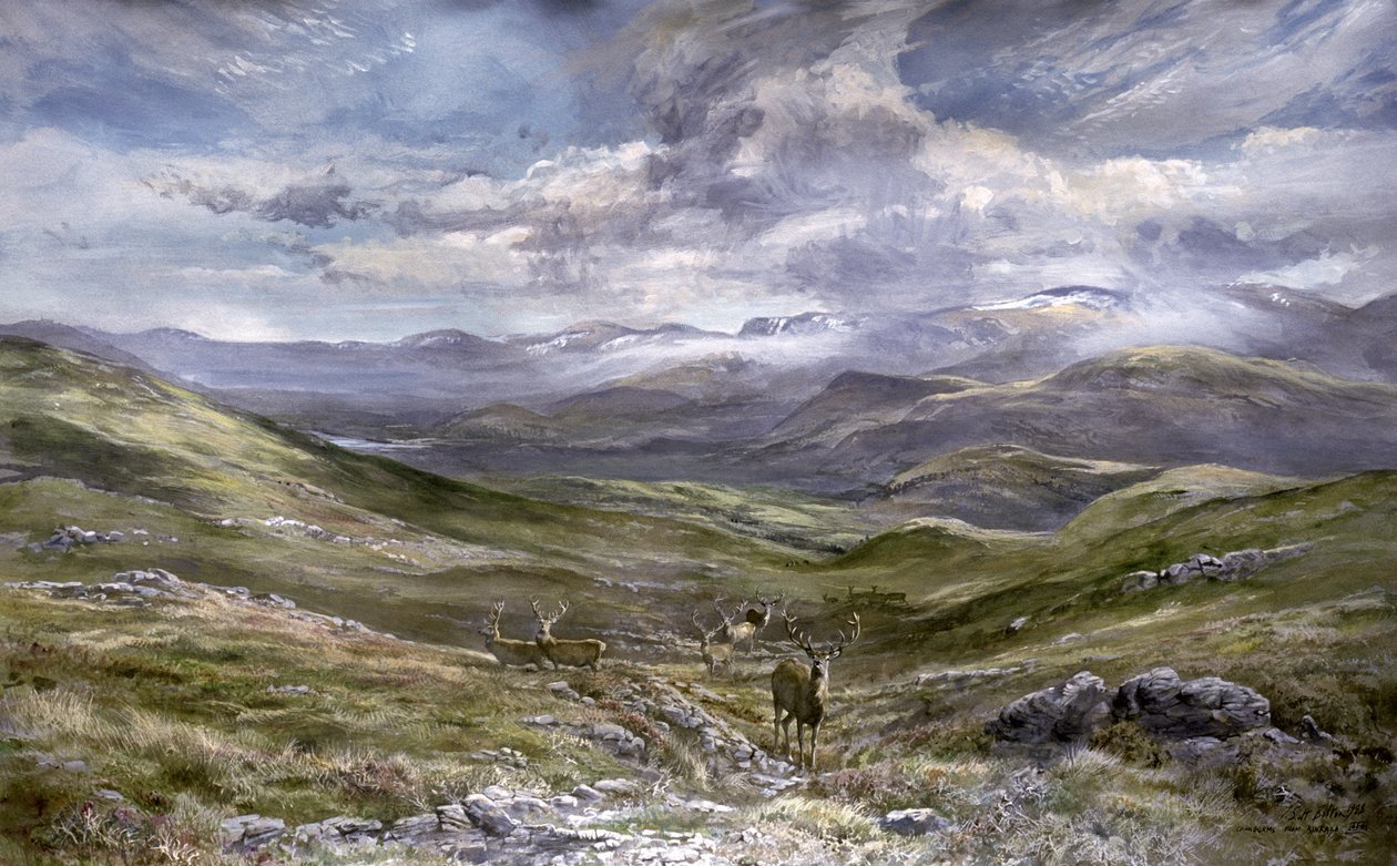 Kinrara, Aviemore, Skottland, 1988 (wc på papper) av Tim Scott Bolton