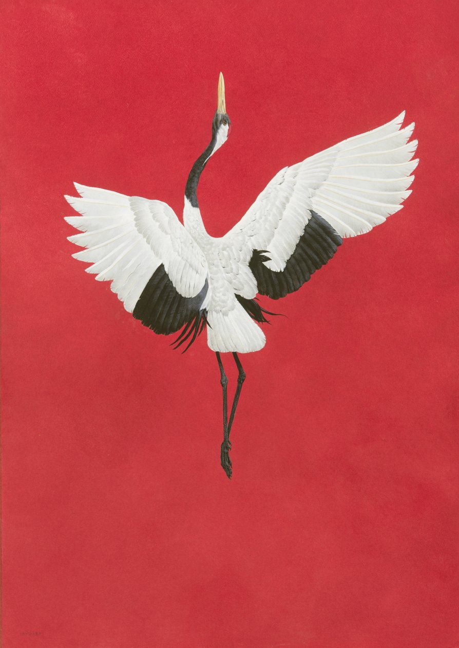 Dansen-röd, vattenfärg och gouache på bågar 640gsm papper, 96 x 66 cm av Tim Hayward