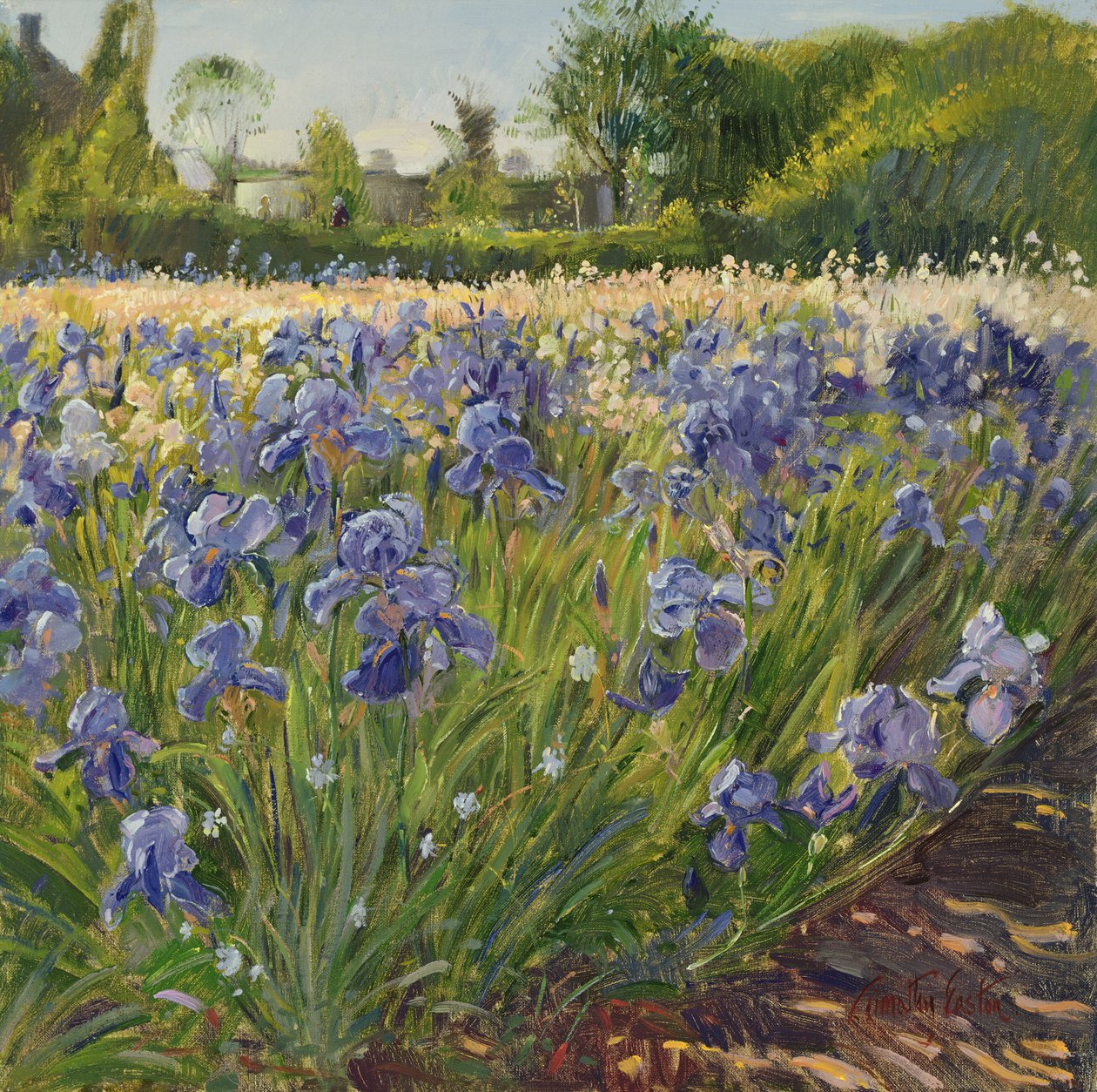 Ovanför de blå irisarna av Timothy Easton