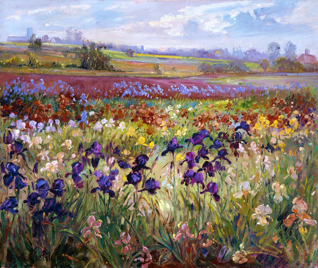 Över till Burgate av Timothy Easton