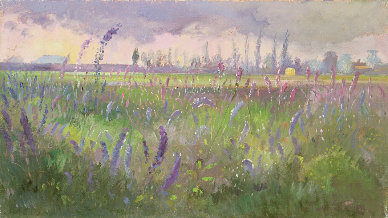 Delphiniums, Stormen passerar, 1991 av Timothy Easton