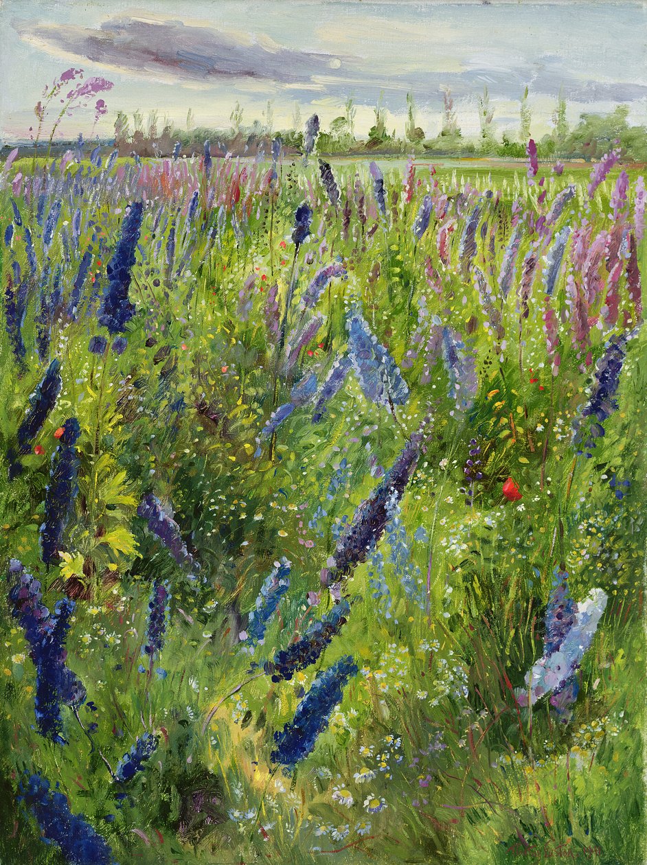 Delphiniums och framväxande sol, 1991 av Timothy Easton