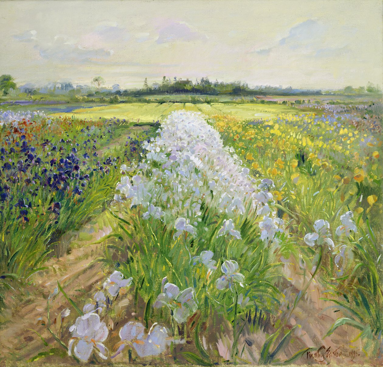 Nedåt på linjen, 1995 av Timothy Easton