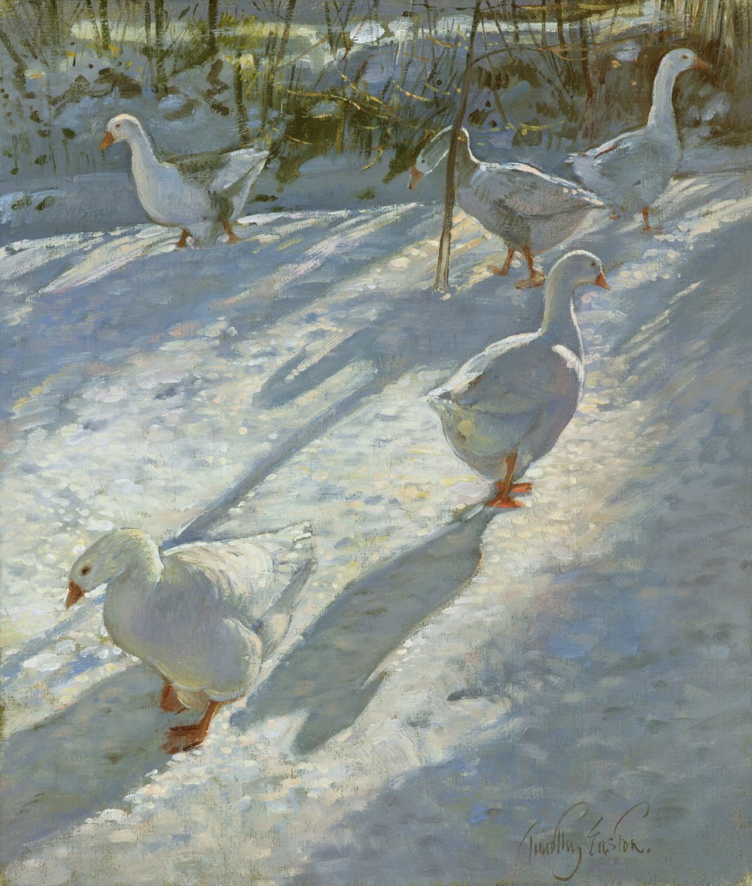 Utforska sluttningen av Timothy Easton
