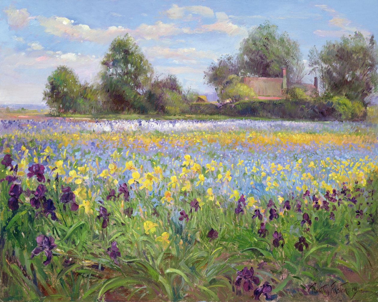 Farmstead och Iris Field, 1992 av Timothy Easton