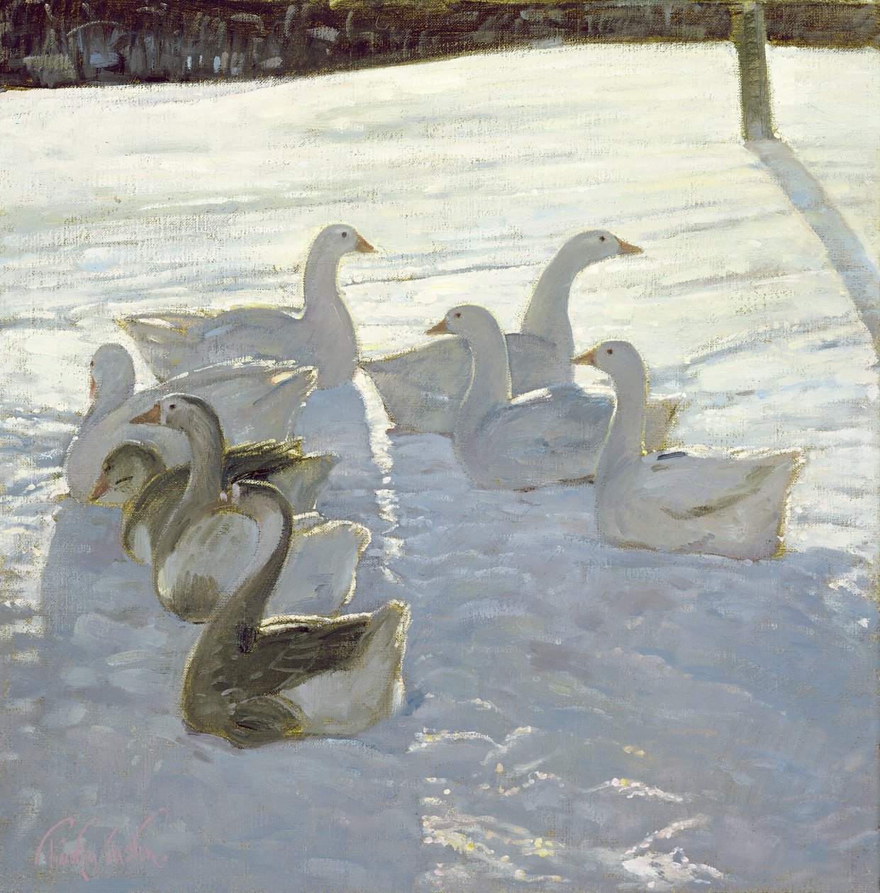 Gäss mot ljuset av Timothy Easton