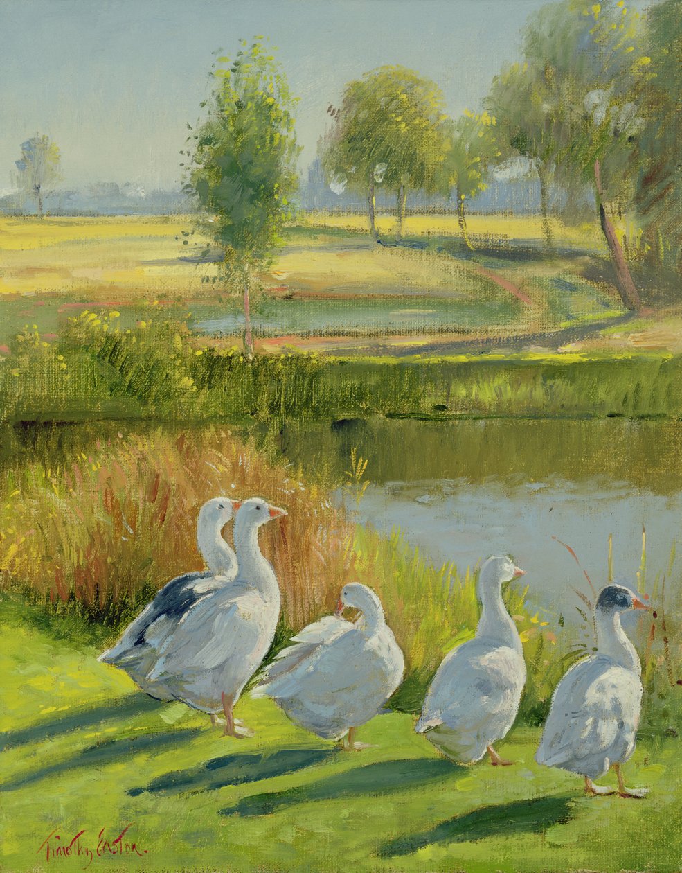 Gåsvakt av Timothy Easton
