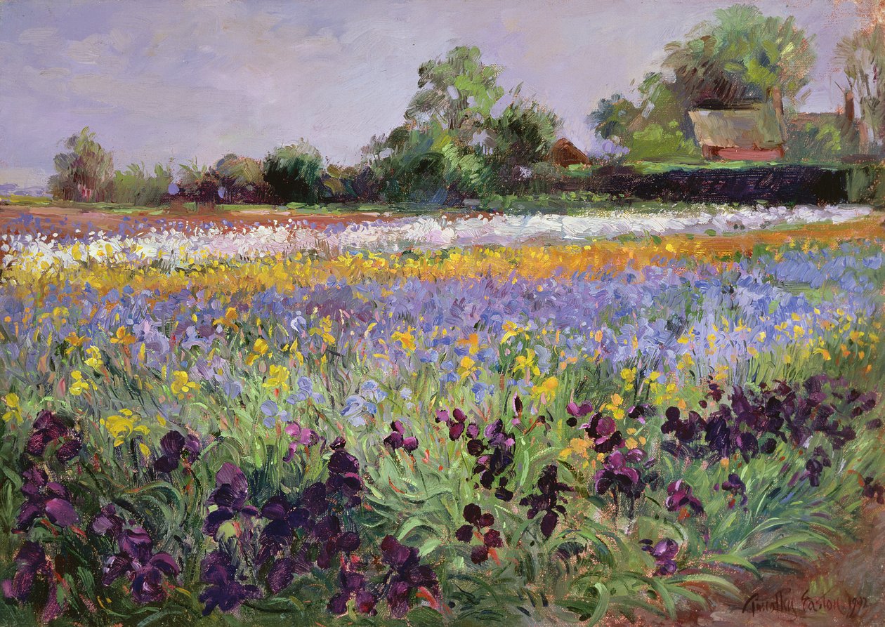 Iris Field och två stugor av Timothy Easton