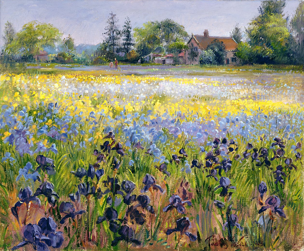 Iris och två granar, 1993 av Timothy Easton