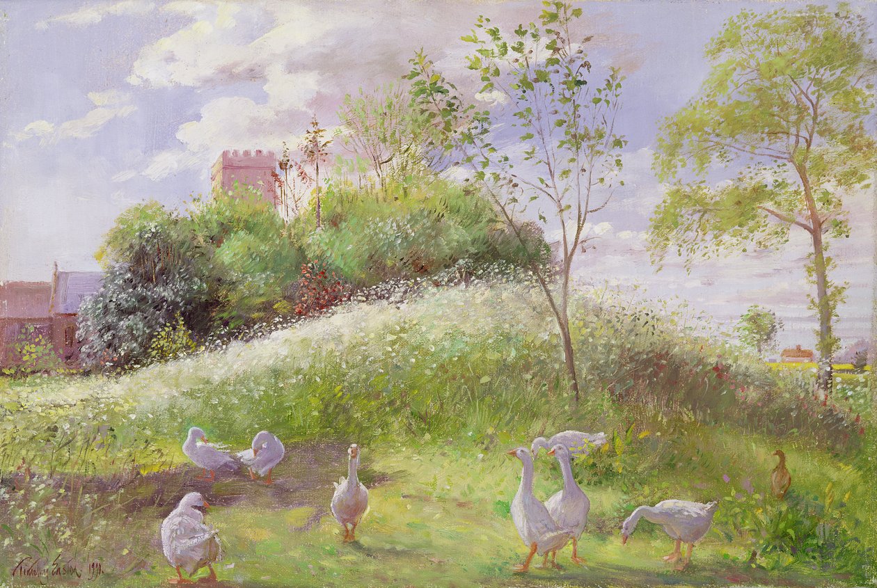 May Mount, 1991 av Timothy Easton