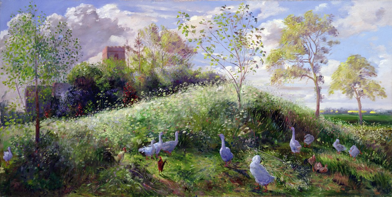 Montera i maj av Timothy Easton